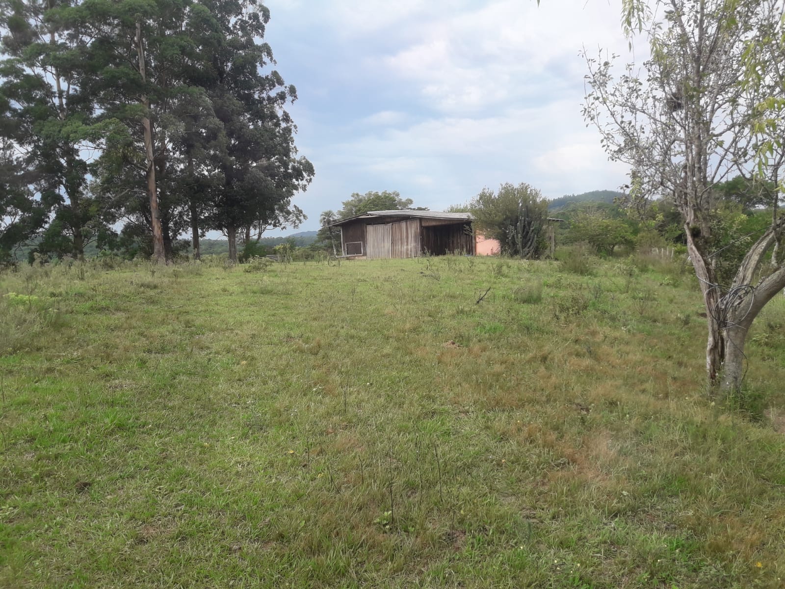 Excelente campo para Cavalos
