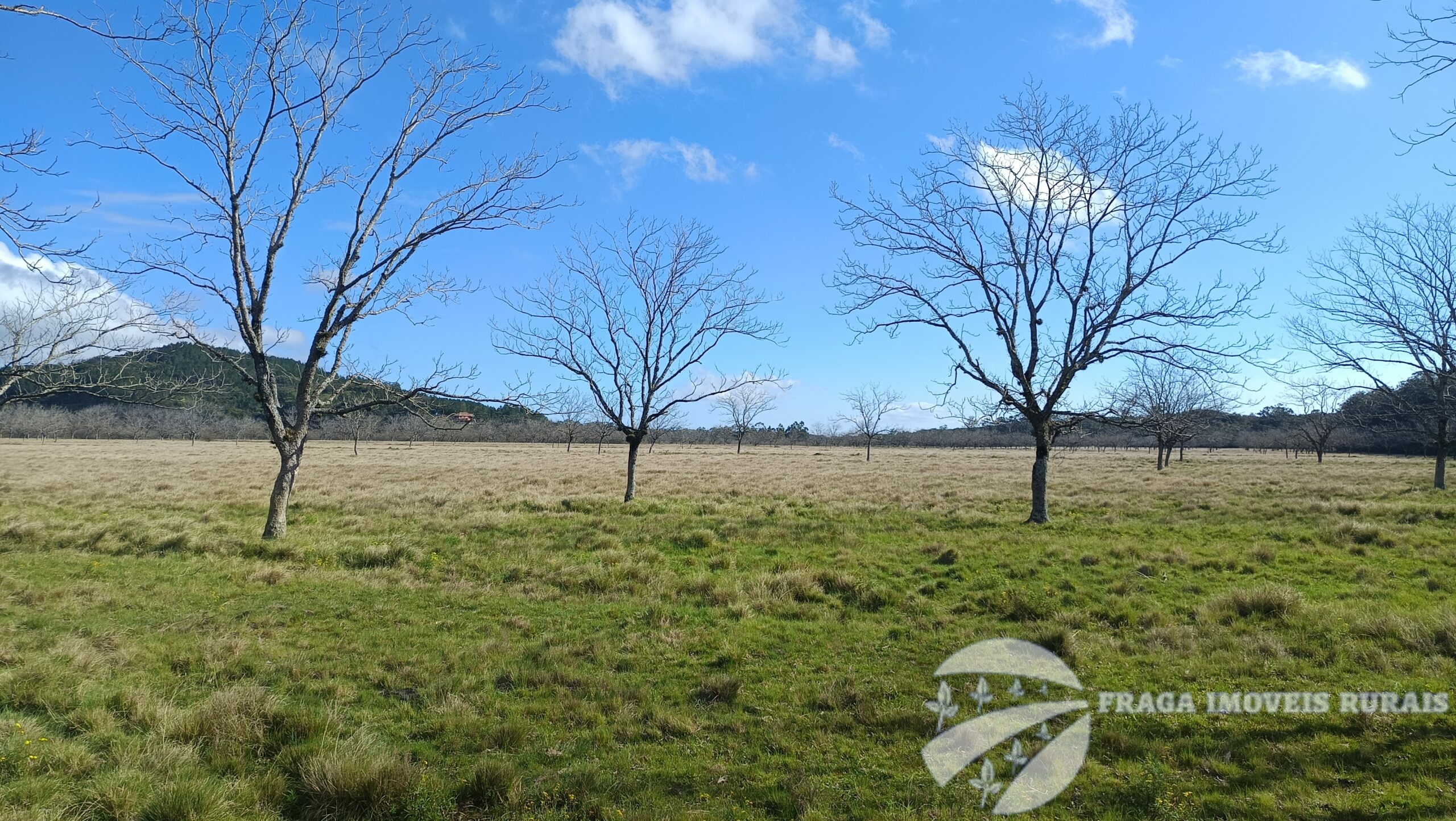 Fazenda a Venda em Itapuã