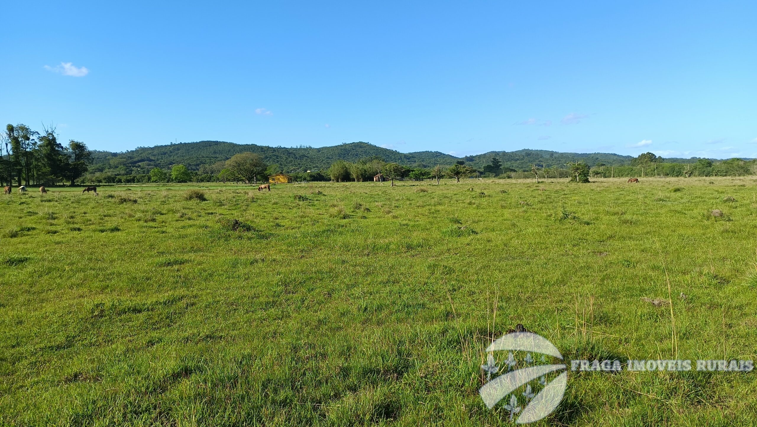 Chácara de 24 Hectares a venda na Extrema