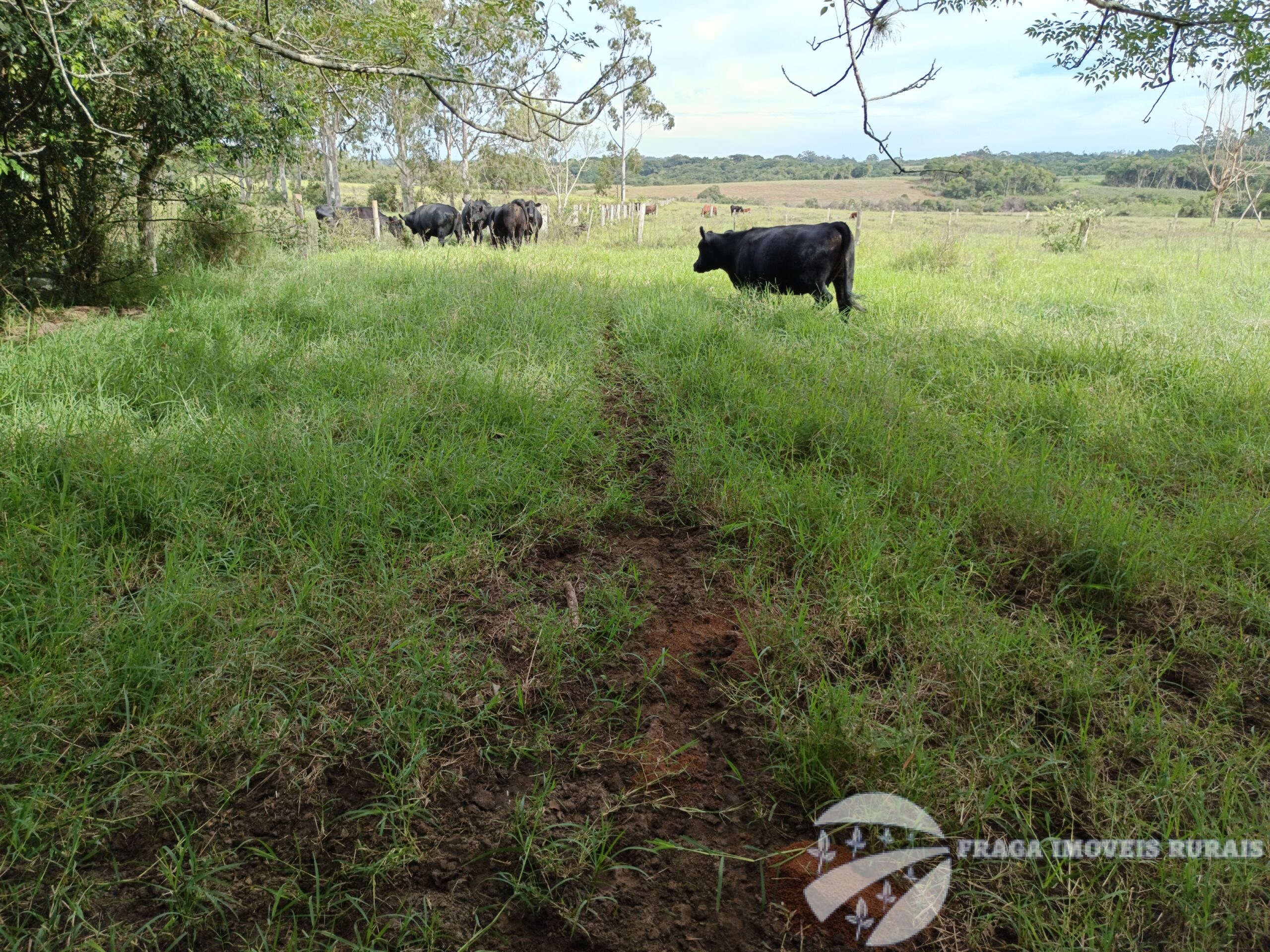Chácara de 8.2 Hectares em Itapuã