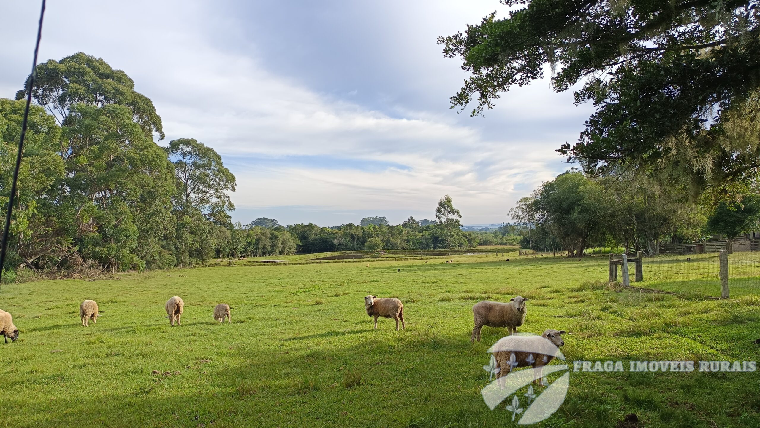 Chácara de 8.8 hectares a venda em Viamão