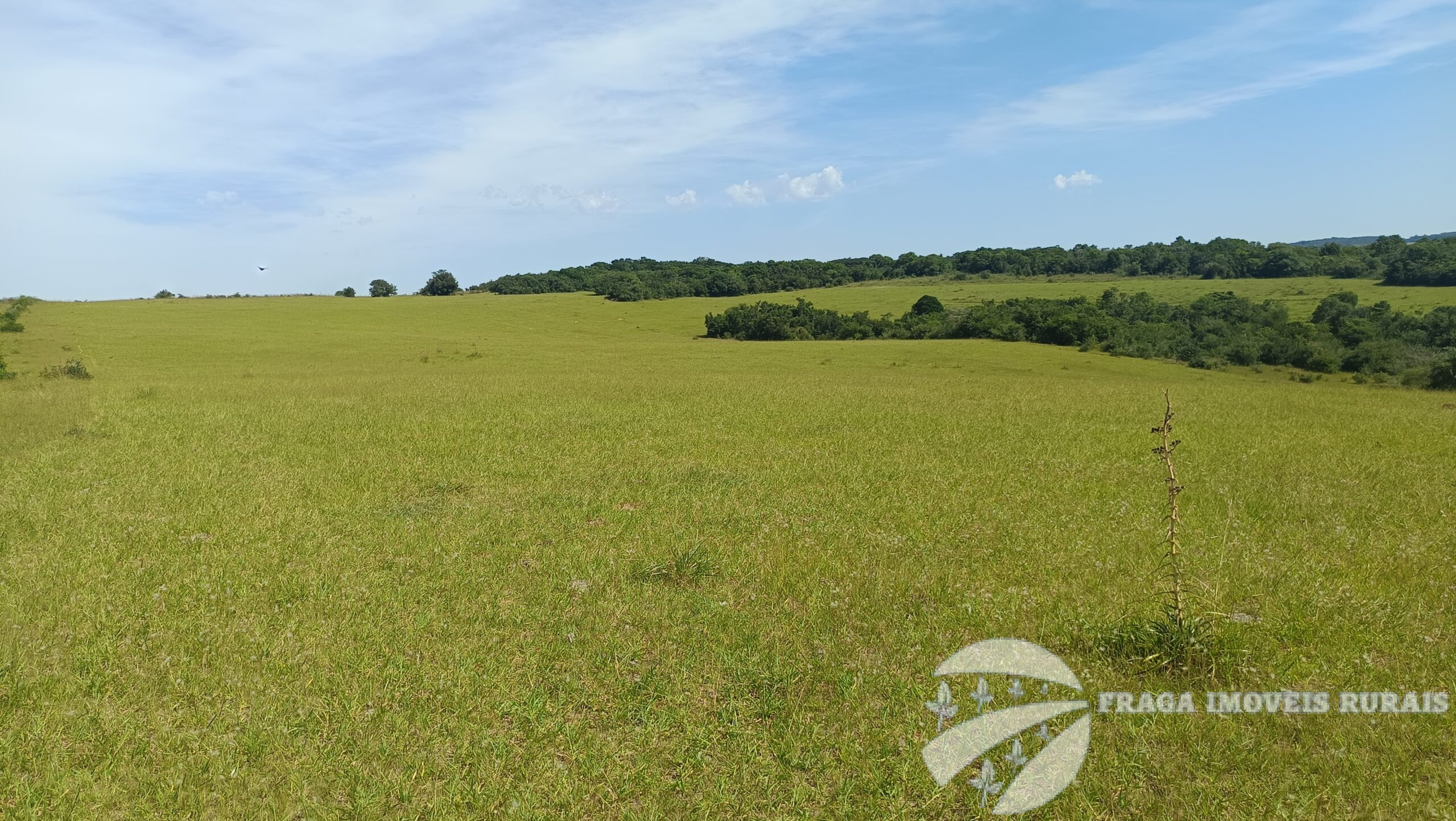 Fazenda a venda de 601 hectares em Viamão
